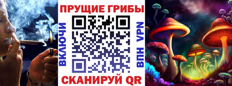 купить   МЕГА ONION  Галлюциногенные грибы Magic Shrooms  Северо-Курильск 